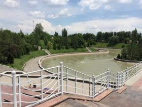 IMG_3271.JPG