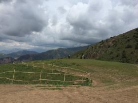 IMG_3318.JPG